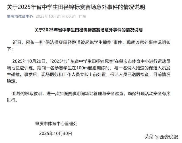 乐鱼体育-赛博朋克2077石中剑